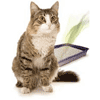 Fresh Pets Free Samples