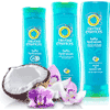 Herbal Essences Samples