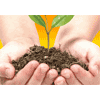 UK Free Stuff Offer - Free Soil Testing Kit