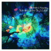 Free Richard Hawley Single