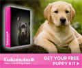UK Free Stuff Offer - Free Puppy Kit