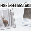 Free Greetings Cards