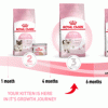 Free Kitten Food Pack