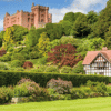 Free National Trust Pass