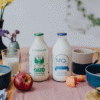 Free Oato Milk