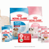 Free Royal Canin Pet Food Sample Kit