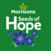 Free Seeds of Hope