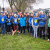 Free Trees for Communities