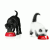 Free Royal Canin Pet Food